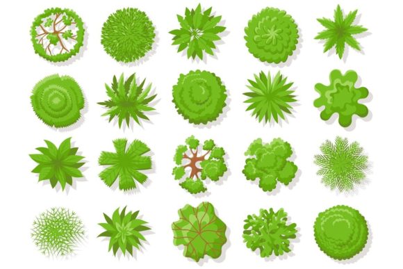 Download Top View Plants - Top Collection